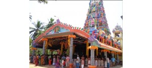 விசவத்தனை முருகன் கோயில் - பண்ணாகம் 